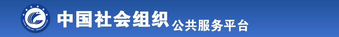 国屌逼视频全国社会组织信息查询